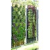 Natural Outdoor Vertical Garden (550 Rs -900 Rs) (Rates / Sqft)